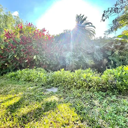 Superior Studio With Pools, Close To The Beach *