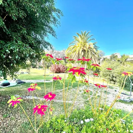 Superior Studio With Pools, Close To The Beach * Puerto de la Cruz (Tenerife)